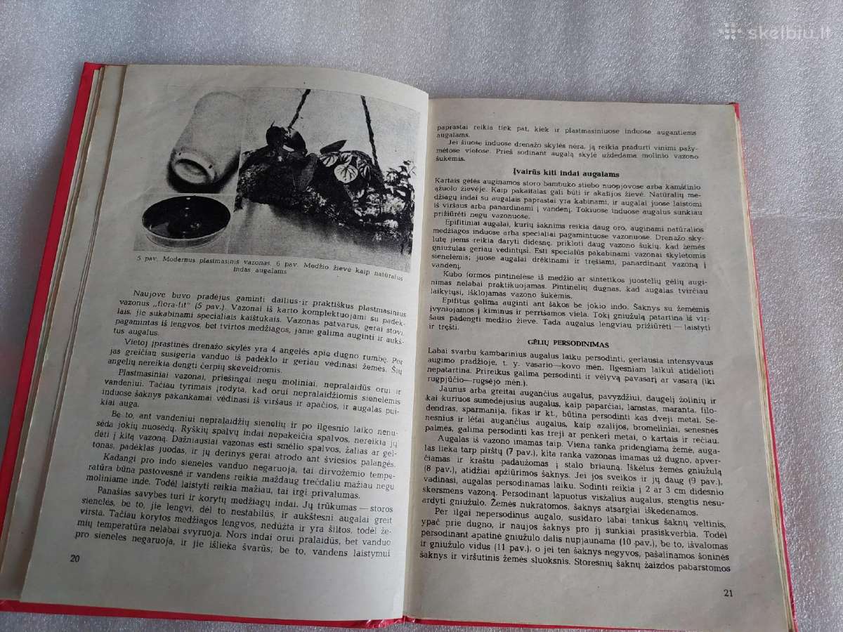 Tūkstantis patarimų gėlių augintojui - nuotraukos Nr. 3