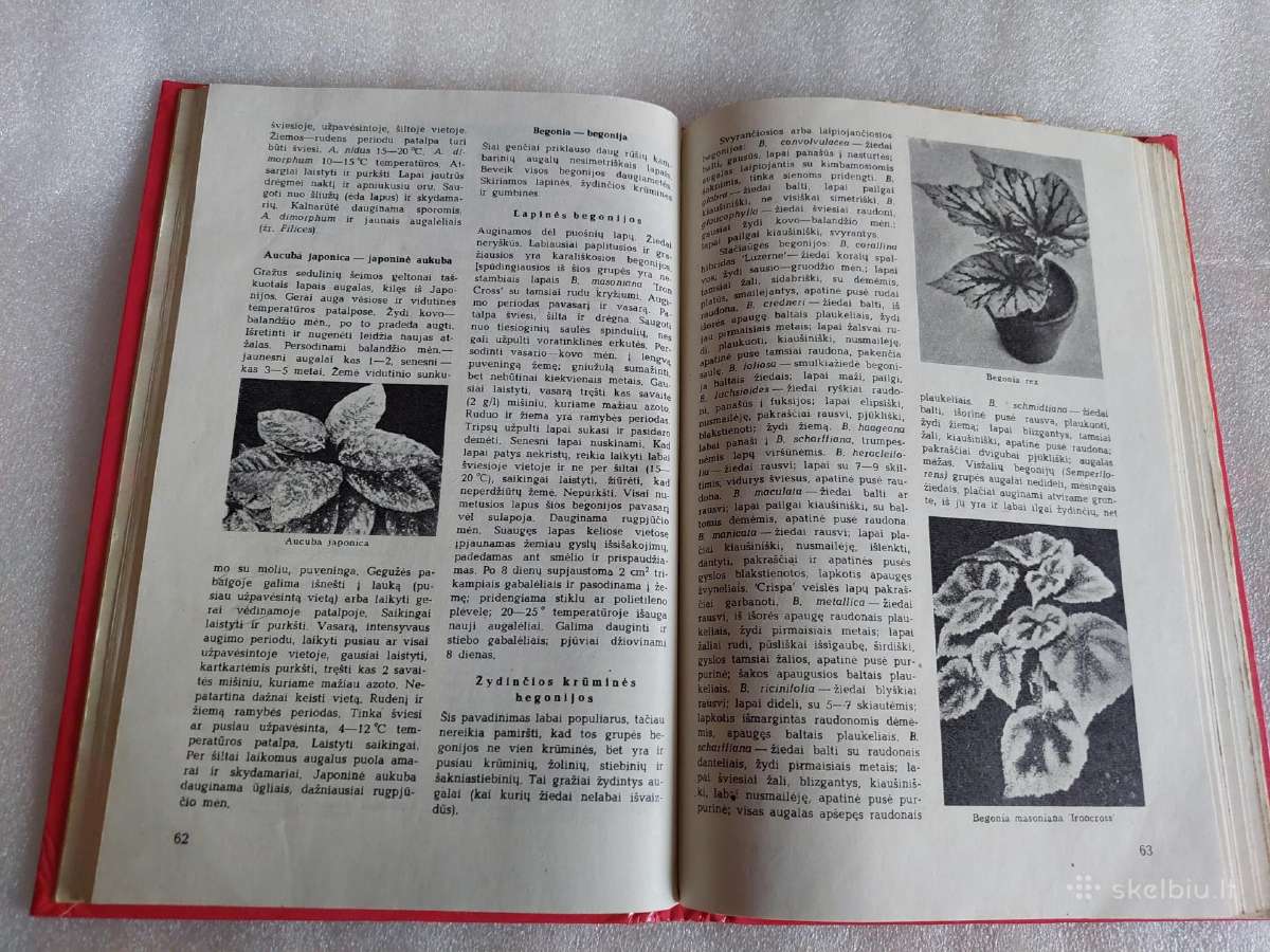 Tūkstantis patarimų gėlių augintojui - nuotraukos Nr. 4