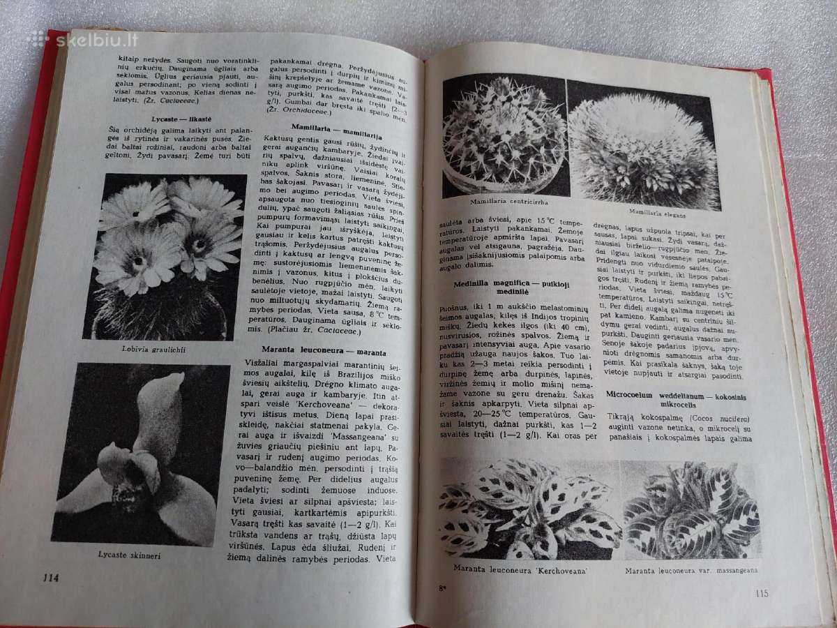 Tūkstantis patarimų gėlių augintojui - nuotraukos Nr. 5