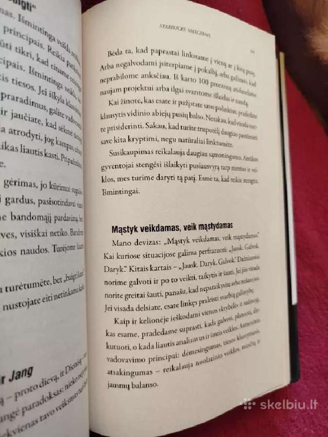 Starbucks smegenys - nuotraukos Nr. 4