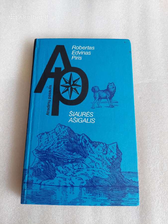 Šiaurės ašigalis