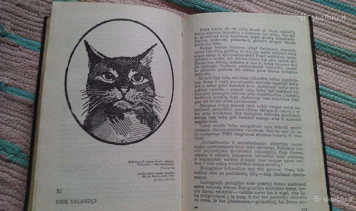 Įdomioji zoologija - nuotraukos Nr. 3