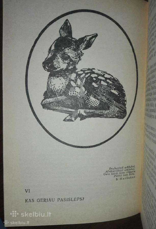 Įdomioji zoologija - nuotraukos Nr. 6
