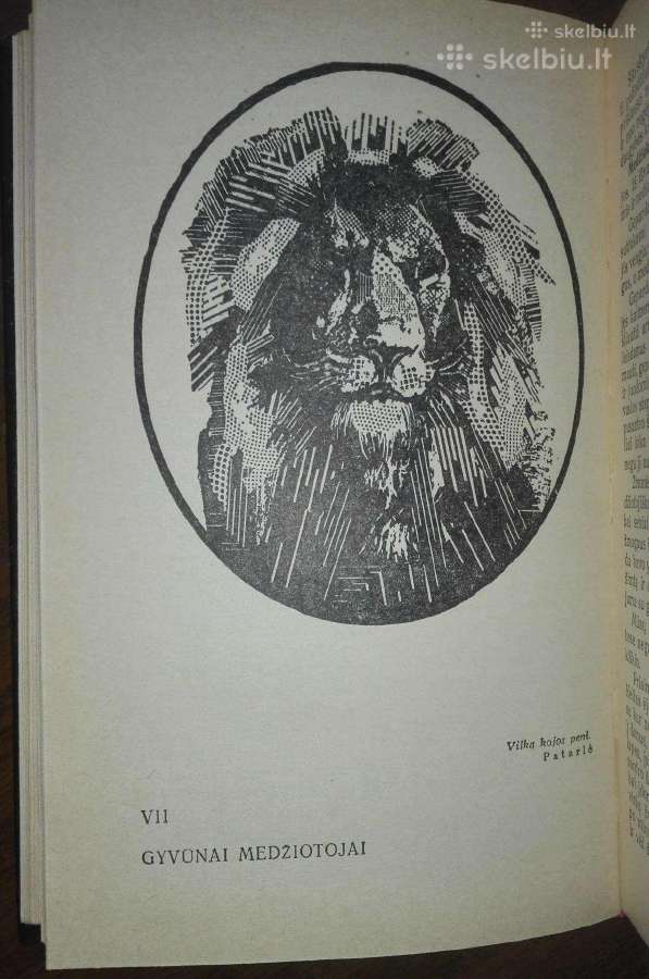 Įdomioji zoologija - nuotraukos Nr. 7