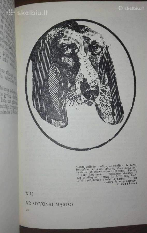 Įdomioji zoologija - nuotraukos Nr. 8