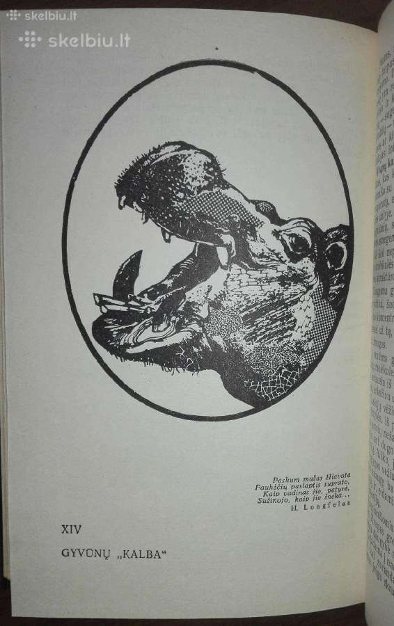 Įdomioji zoologija - nuotraukos Nr. 9