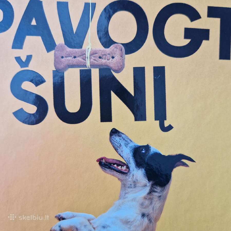 Nauja knyga "Kaip pavogti šunį" Barbara O'connor - nuotraukos Nr. 3