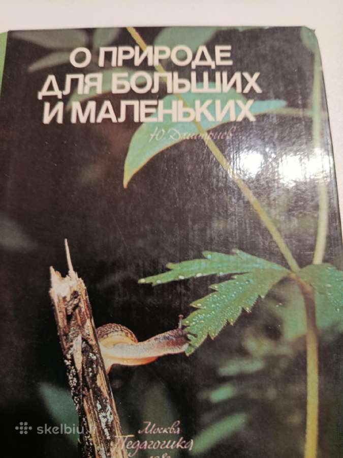 Knyga