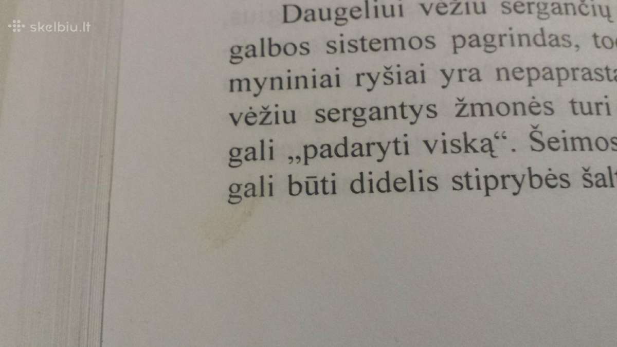 Jeremy R.geffen knyga "Kelione per vezi" - nuotraukos Nr. 17