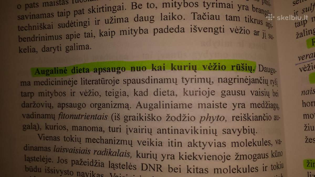 Jeremy R.geffen knyga "Kelione per vezi" - nuotraukos Nr. 8