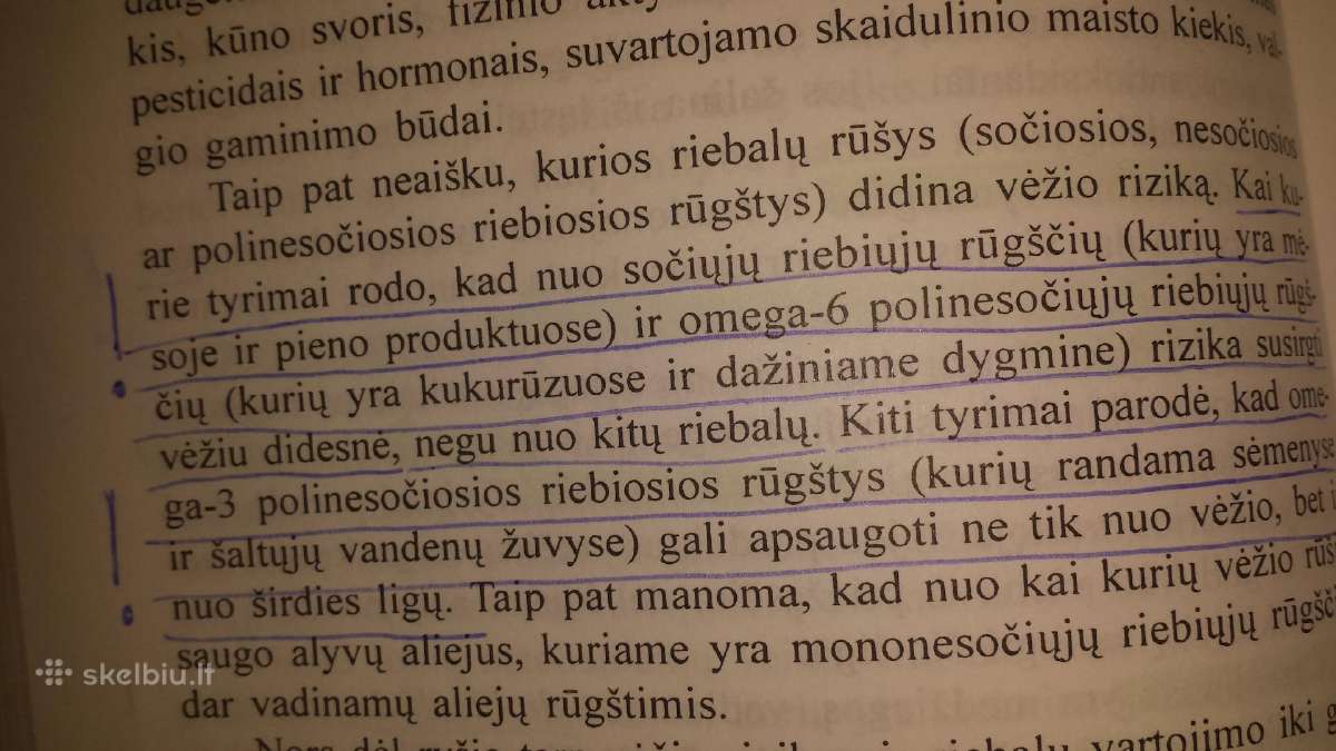 Jeremy R.geffen knyga "Kelione per vezi" - nuotraukos Nr. 10