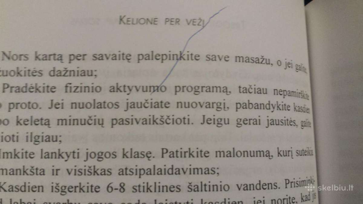 Jeremy R.geffen knyga "Kelione per vezi" - nuotraukos Nr. 18
