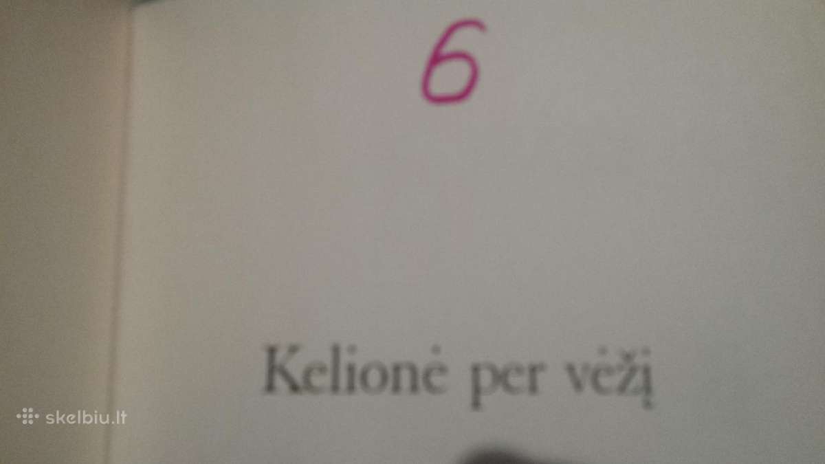 Jeremy R.geffen knyga "Kelione per vezi" - nuotraukos Nr. 19