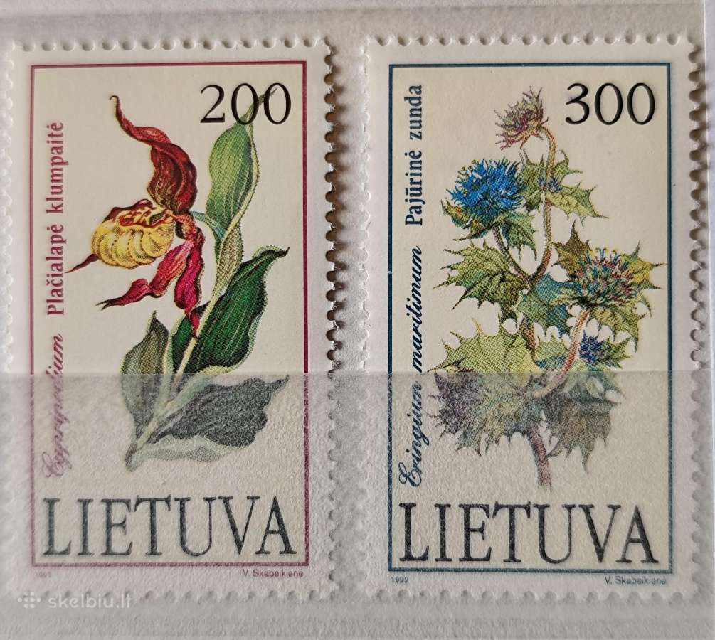 Lietuva 1992