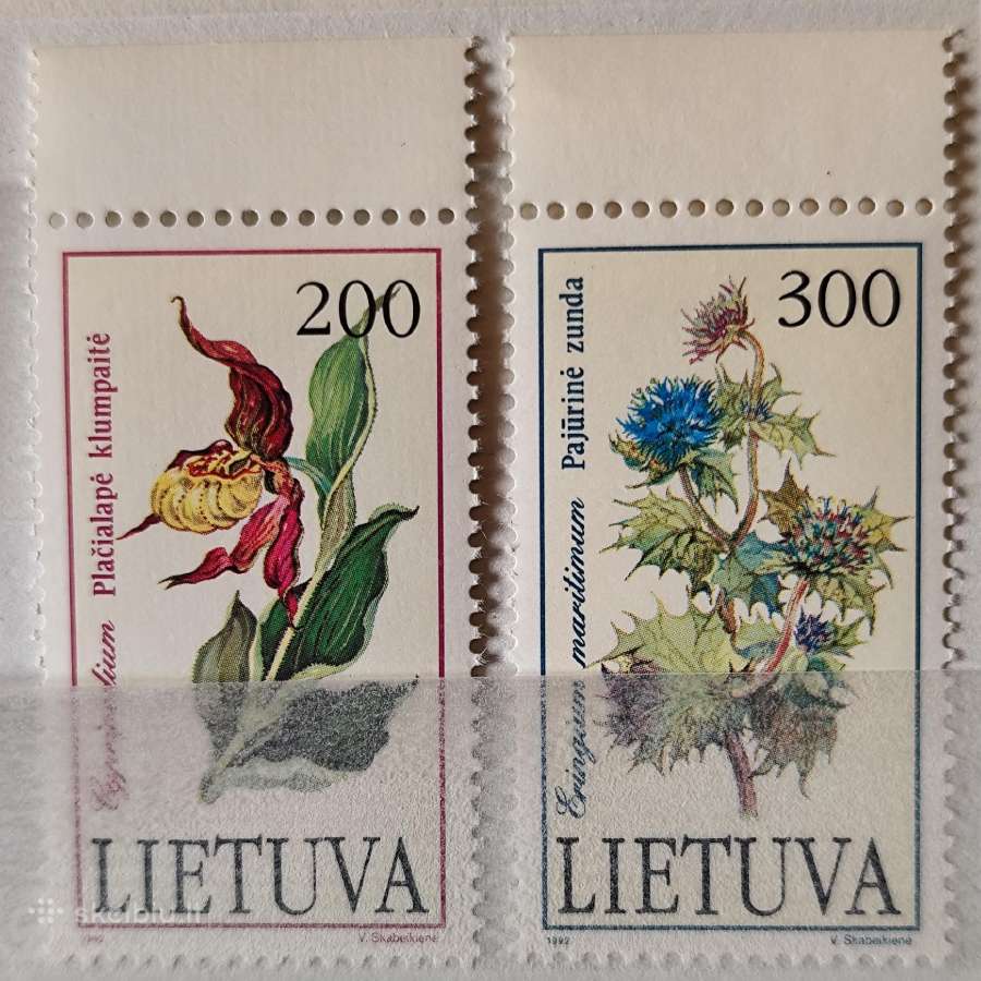 Lietuva 1992 - nuotraukos Nr. 2