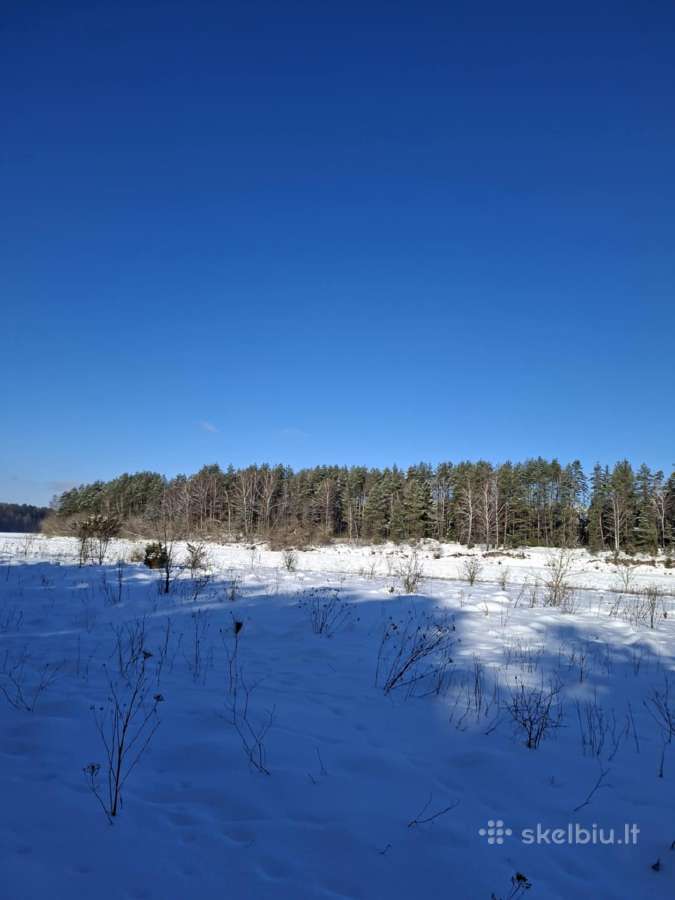 Sklypas su Nemuno pakrante - nuotraukos Nr. 19