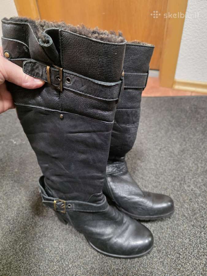 Aulinukai odiniai