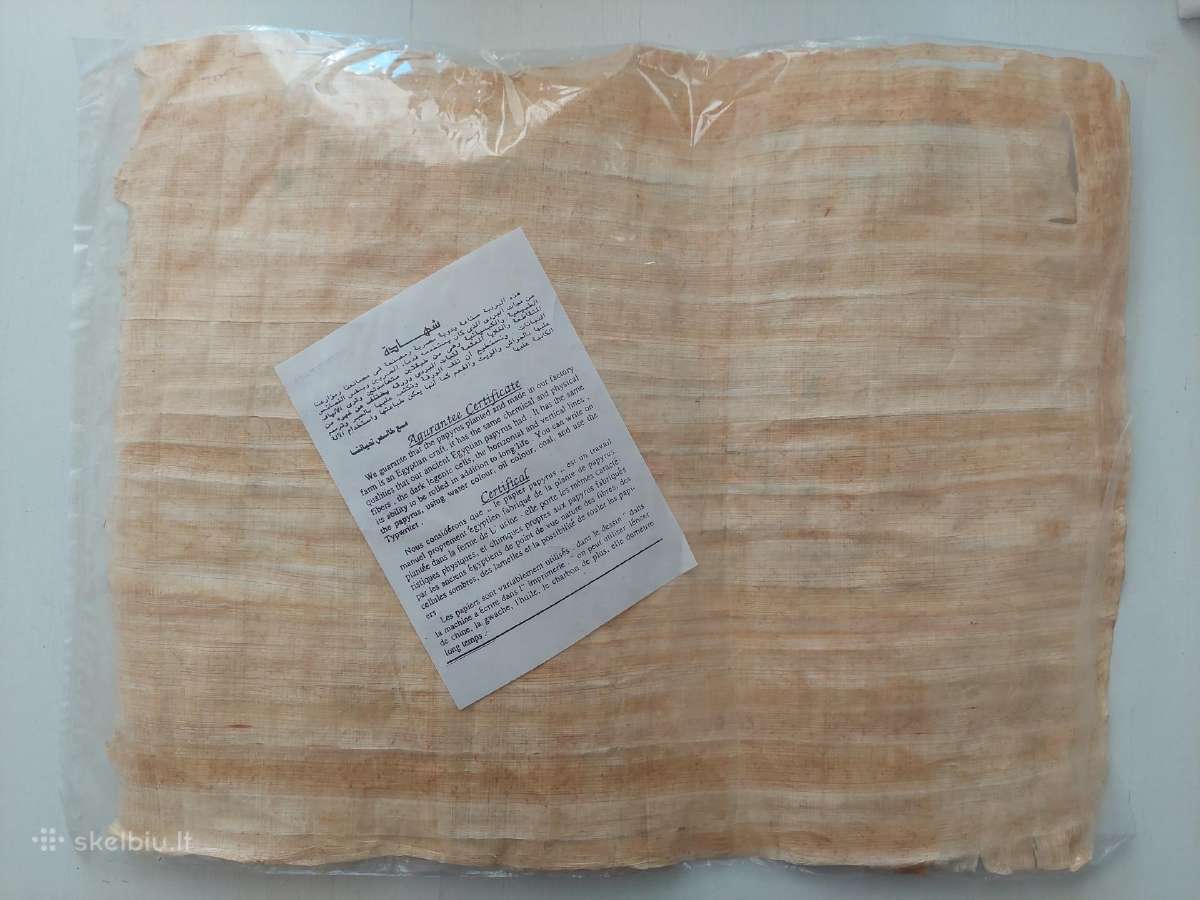 Papirusas iš Egipto - nuotraukos Nr. 2