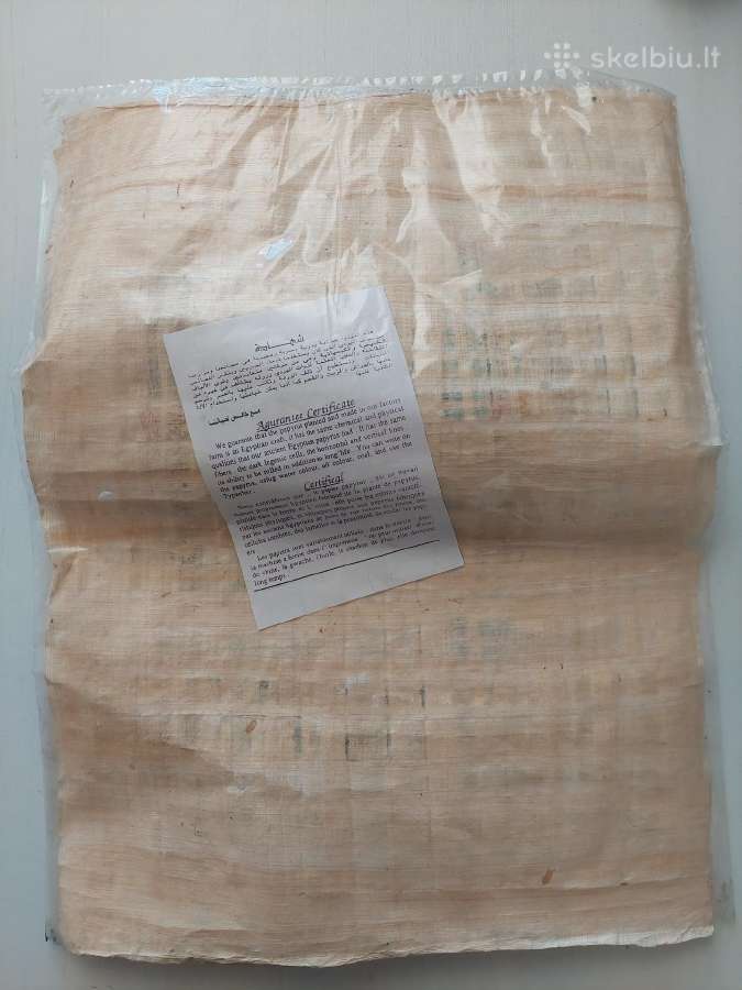 Papirusas iš Egipto - nuotraukos Nr. 2