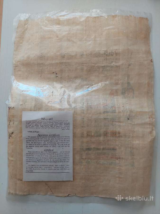 Papirusas iš Egipto - nuotraukos Nr. 2