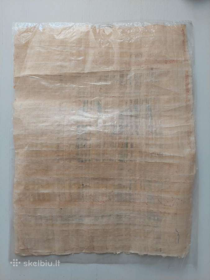 Papirusas iš Egipto - nuotraukos Nr. 2