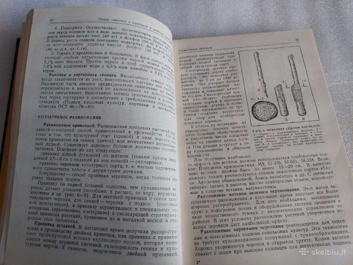 Справочник бригадира-садовода - nuotraukos Nr. 5
