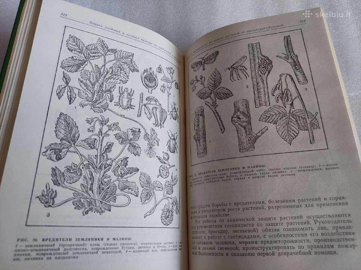 Справочник бригадира-садовода - nuotraukos Nr. 7