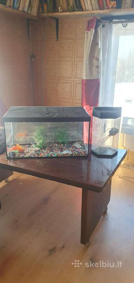 Akvariumas