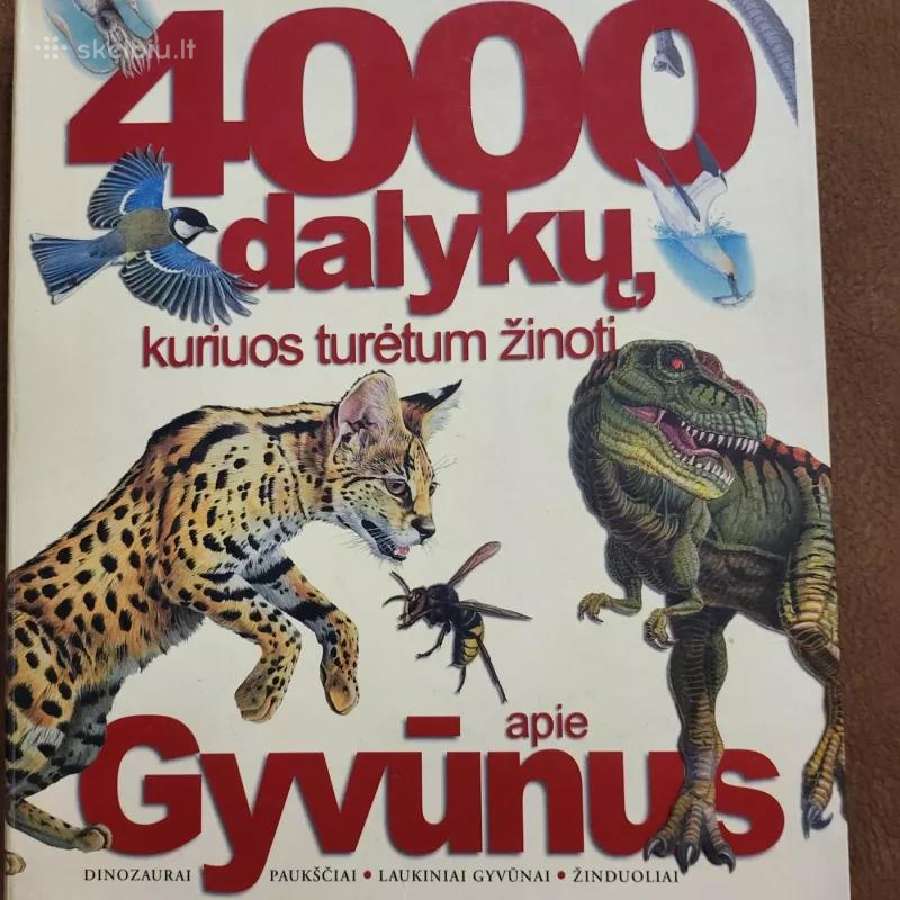 4000, kuriuos turėtum žinoti
