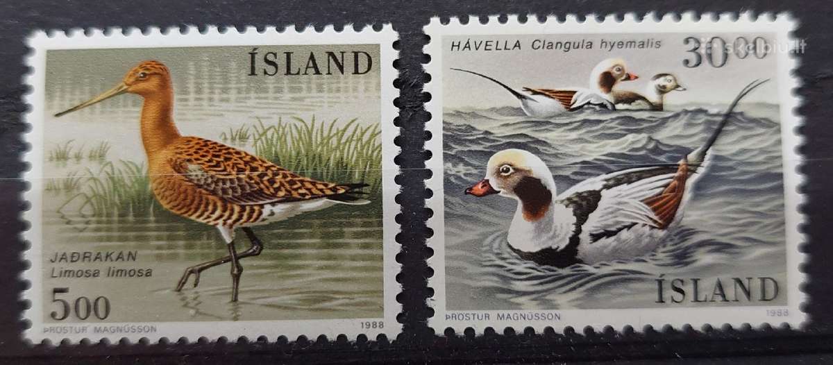 Islandija 1988 paukščiai, švarus, Michel 691-692