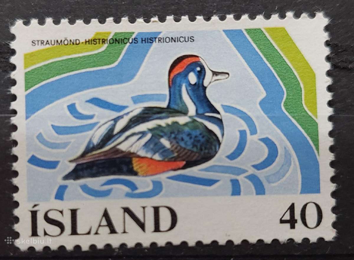 Islandija 1977 paukštis, švarus, Michel 524