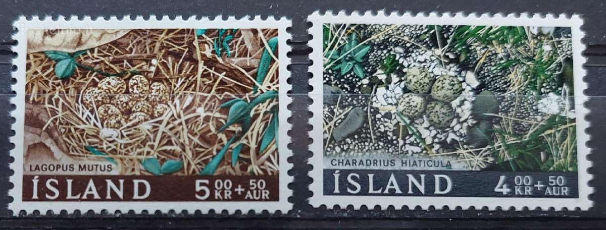 Islandija 1967 paukščių kiaušiniai, švarus, Miche