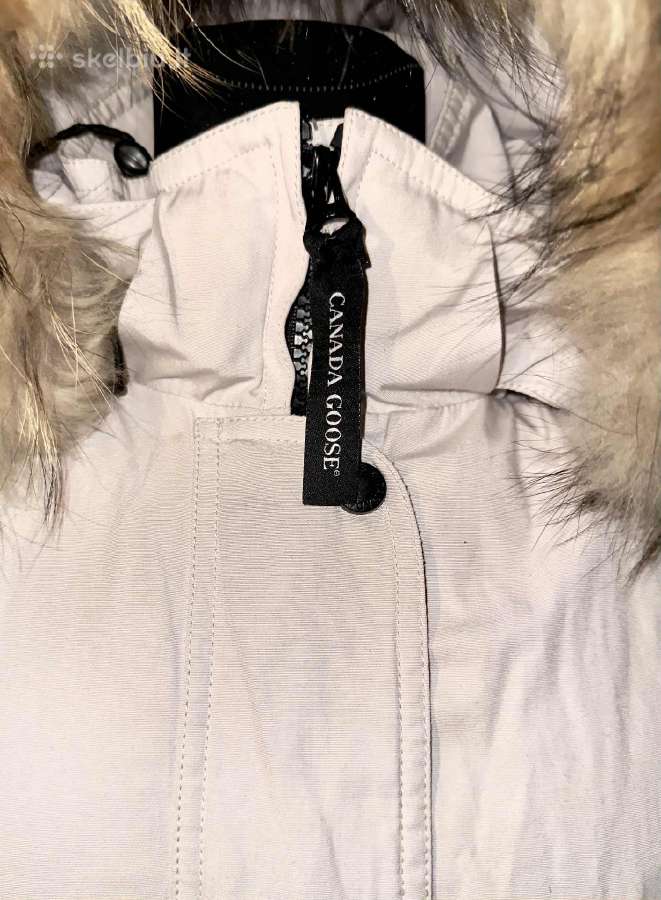 Canada goose striukė