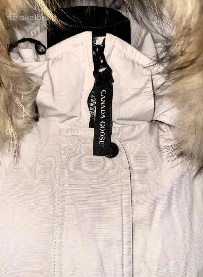 Canada Goose striukė