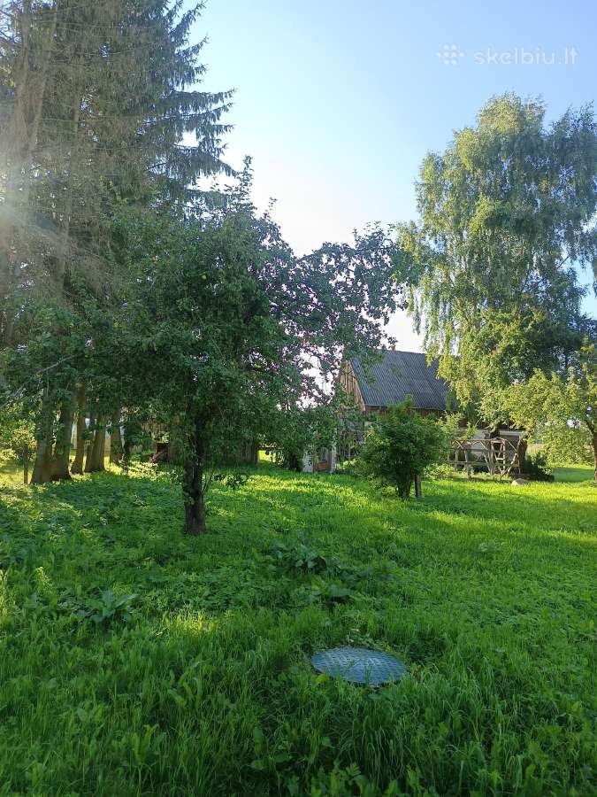 Parduodu sodybą - nuotraukos Nr. 6