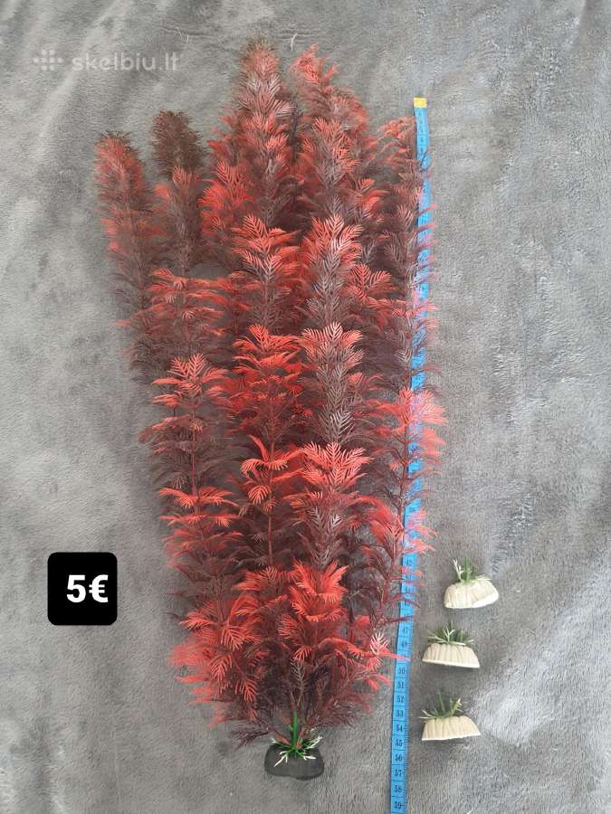 Dirbtiniai akvariumo augalai