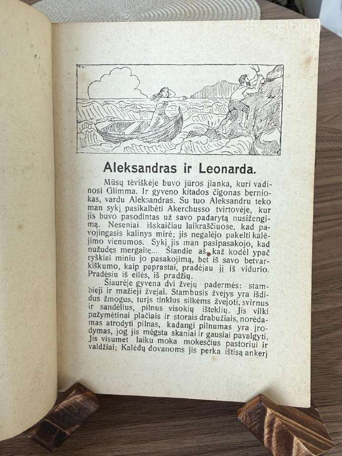 Aistrų kova 1928 m. - nuotraukos Nr. 3