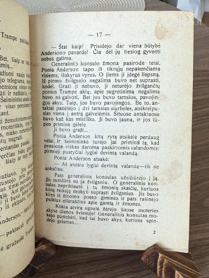 Aistrų kova 1928 m. - nuotraukos Nr. 4