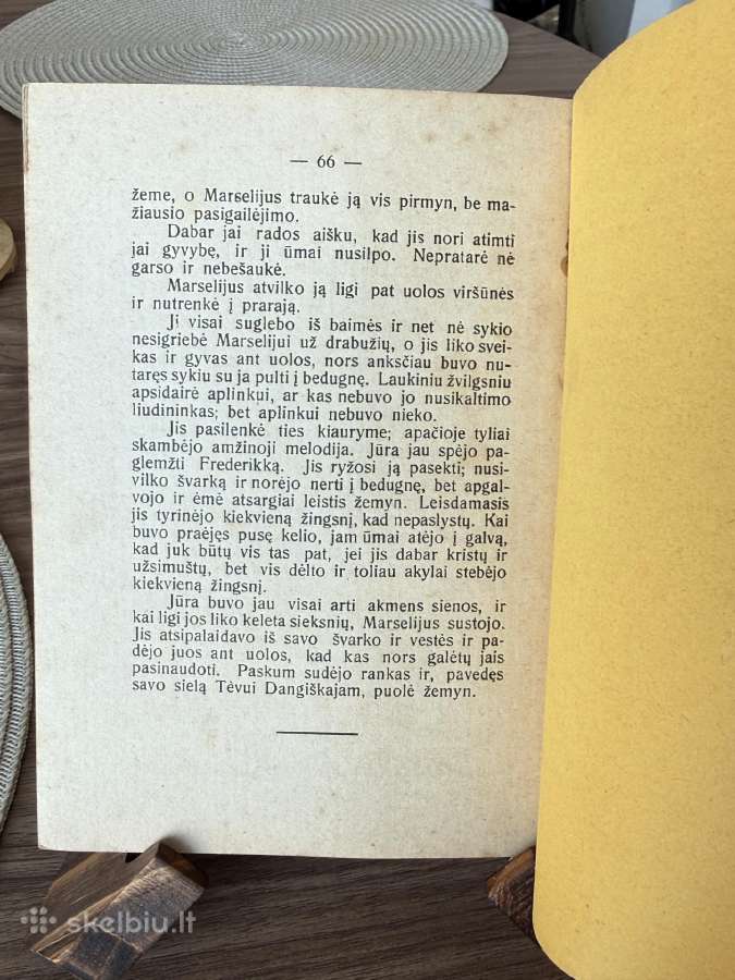 Aistrų kova 1928 m. - nuotraukos Nr. 6