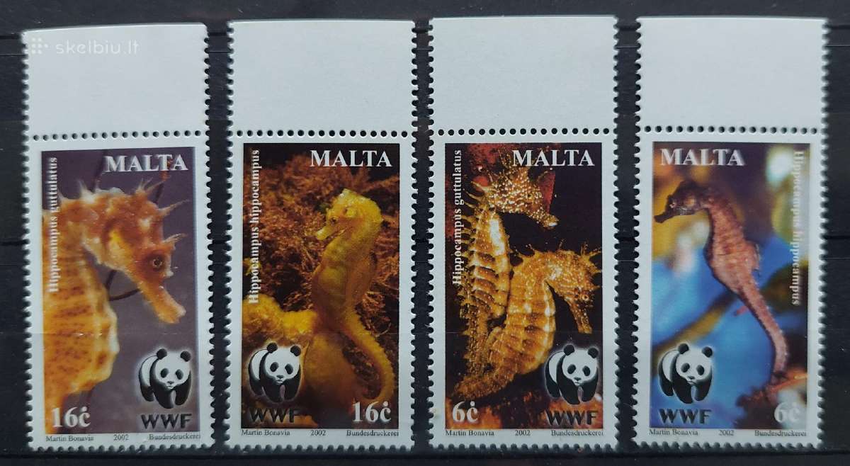 Malta 2002 Wwf jūros arkliukai, švarus, Michel 164