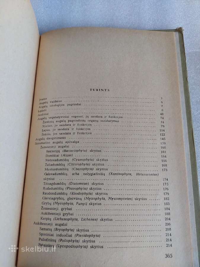 Botanika - nuotraukos Nr. 7