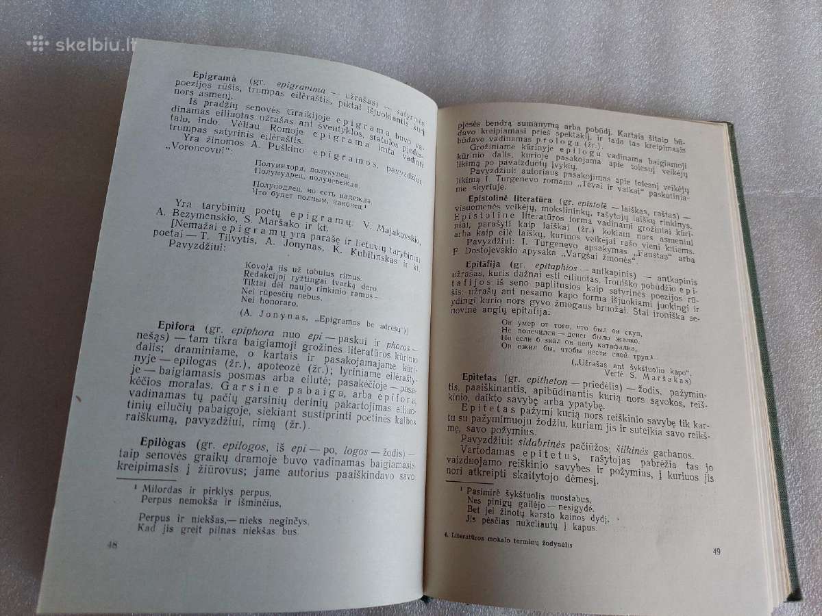 Literatūros mokslo terminų žodynėlis - nuotraukos Nr. 3