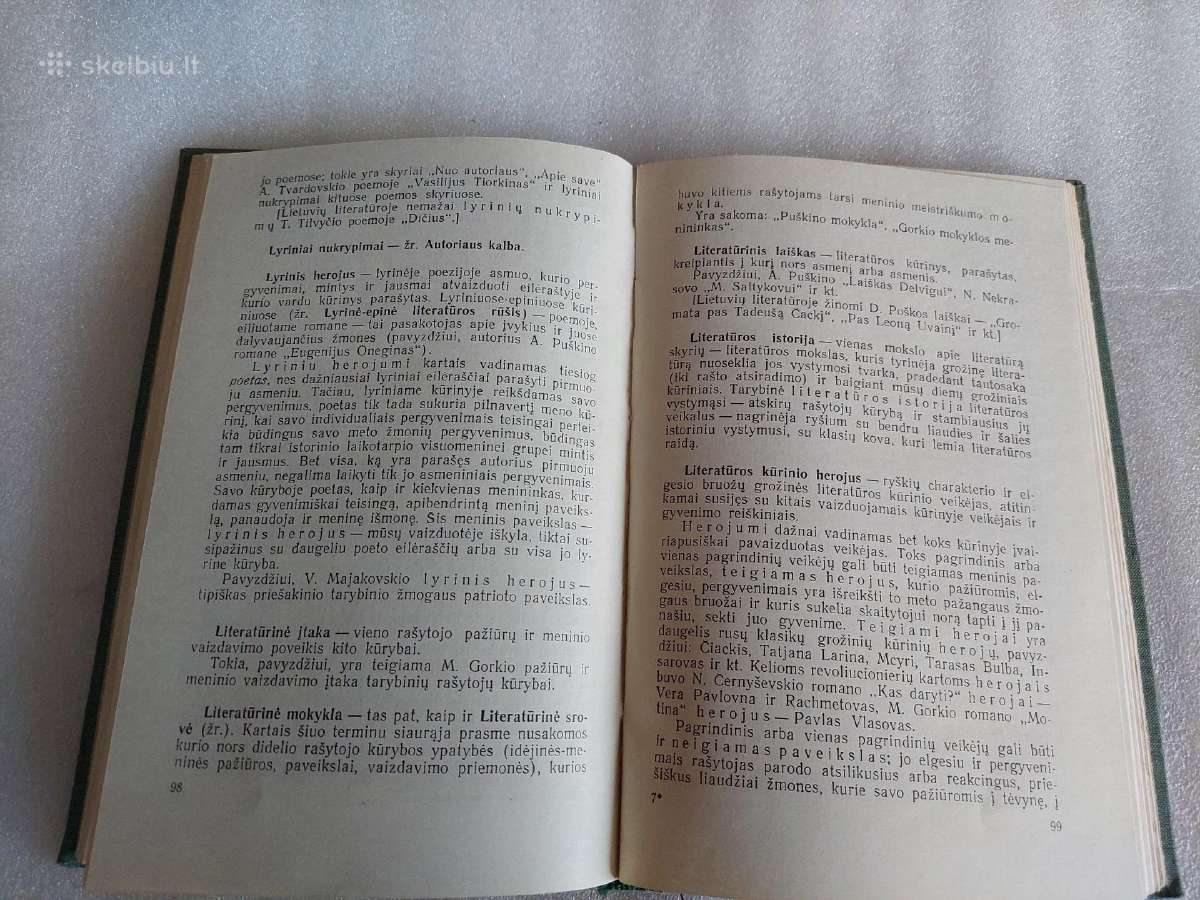 Literatūros mokslo terminų žodynėlis - nuotraukos Nr. 4
