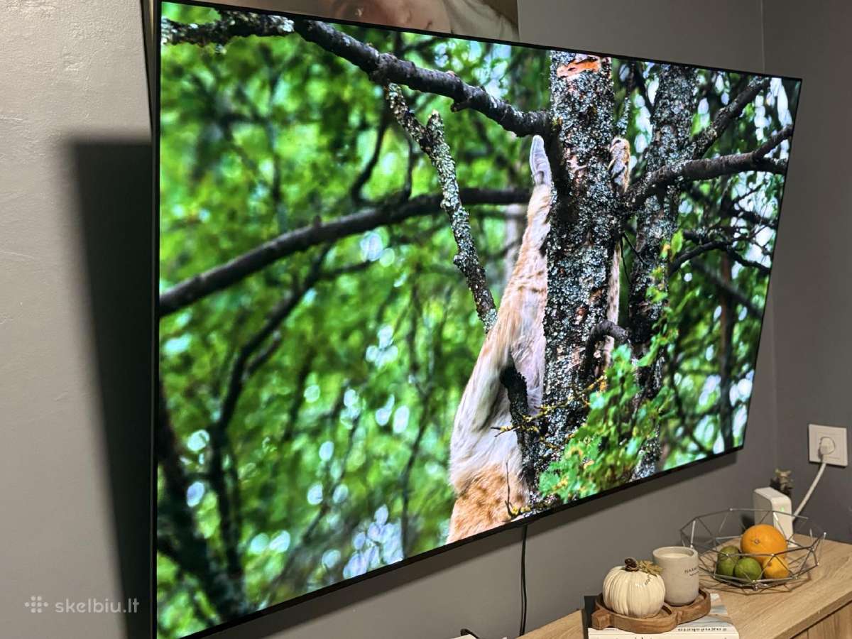 LG Oled ‘65 - nuotraukos Nr. 3