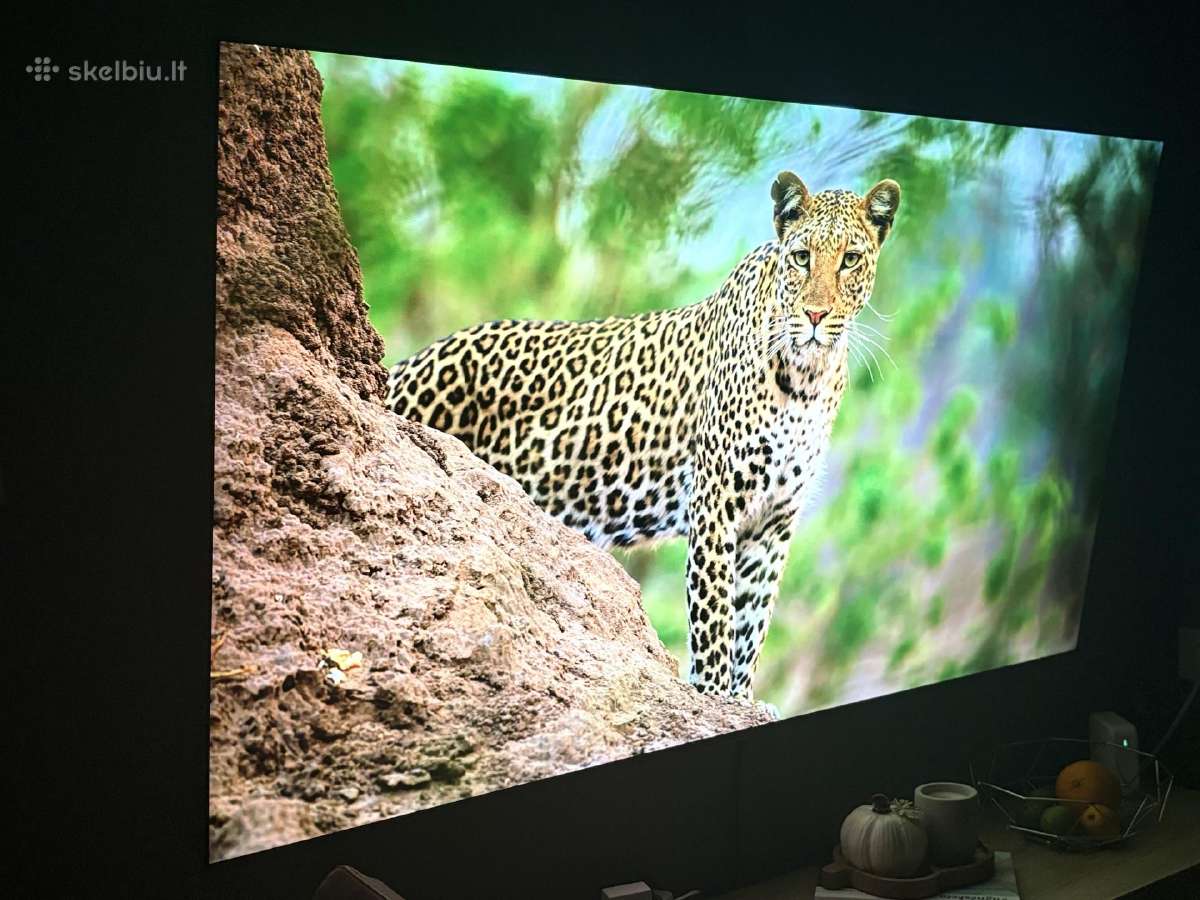 LG Oled ‘65 - nuotraukos Nr. 4
