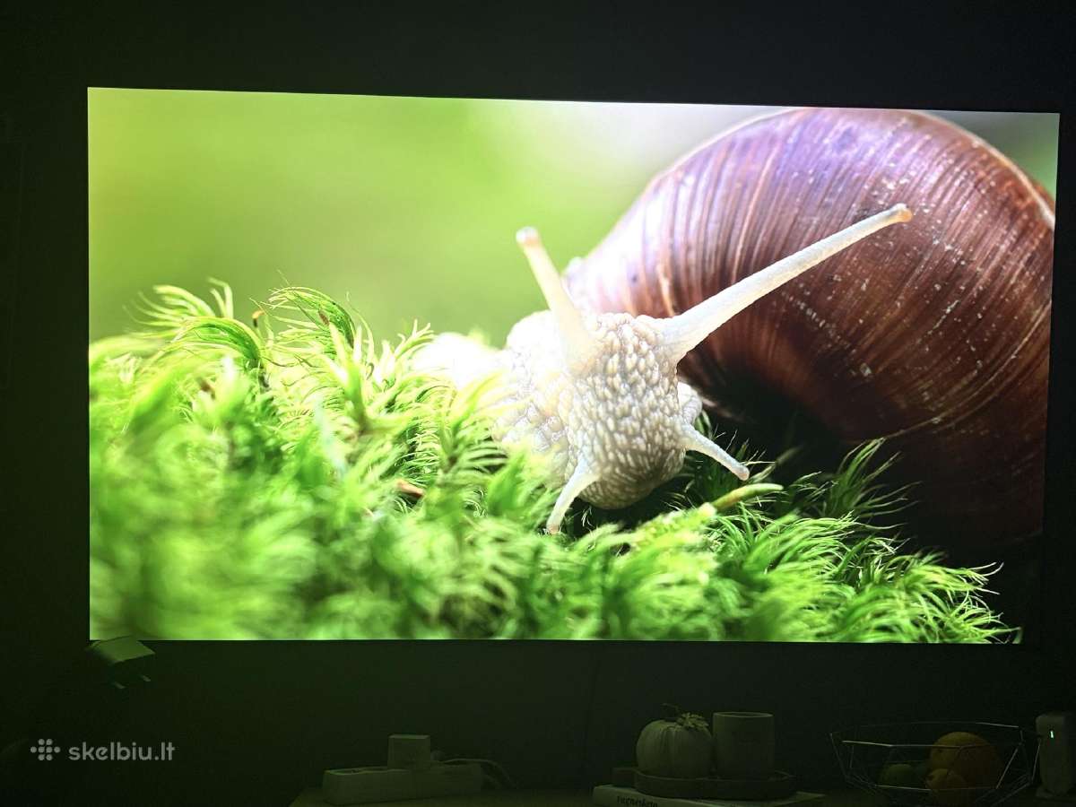 LG Oled ‘65 - nuotraukos Nr. 7