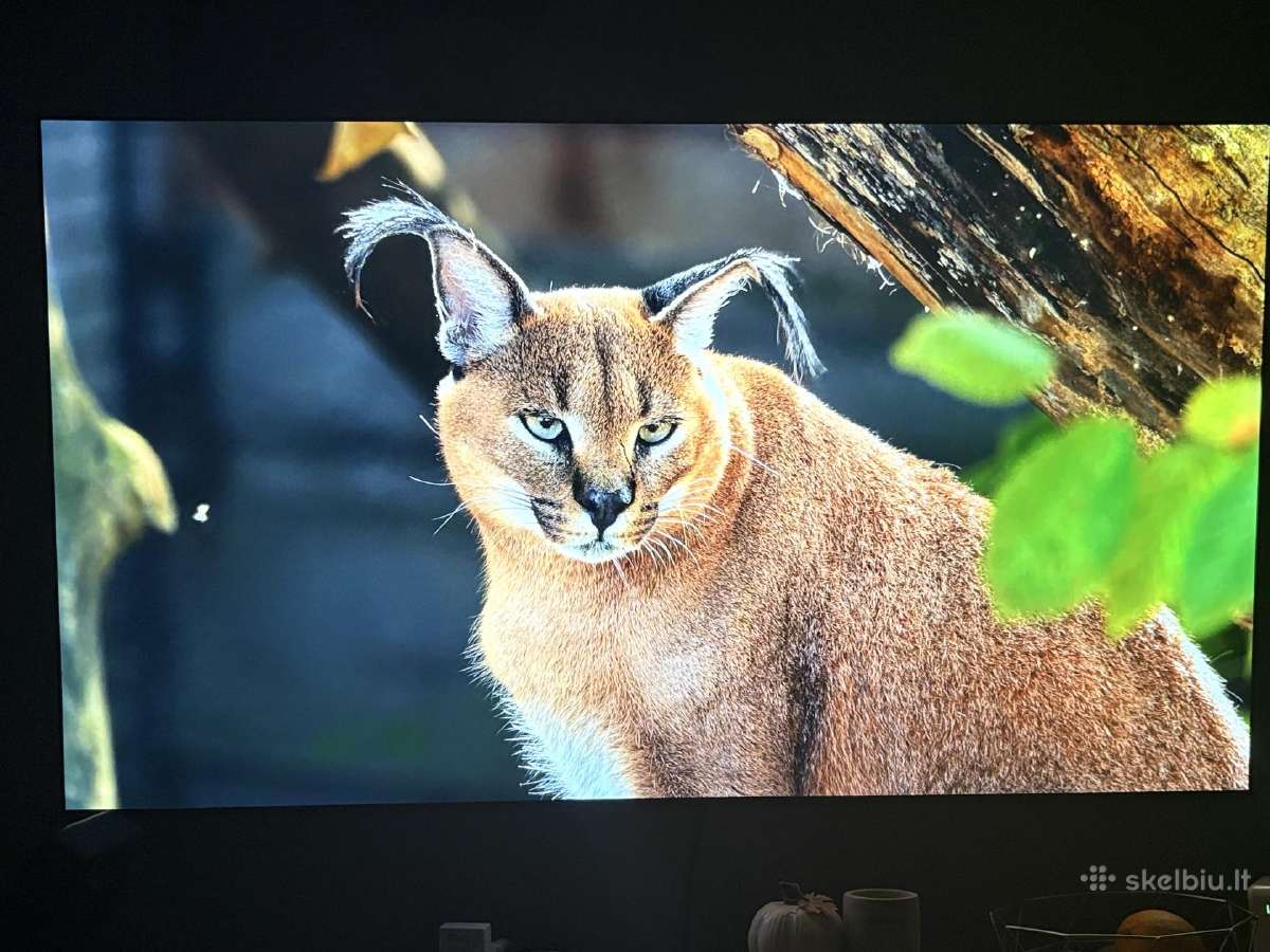 LG Oled ‘65 - nuotraukos Nr. 9
