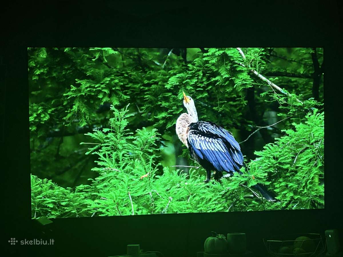 LG Oled ‘65 - nuotraukos Nr. 16