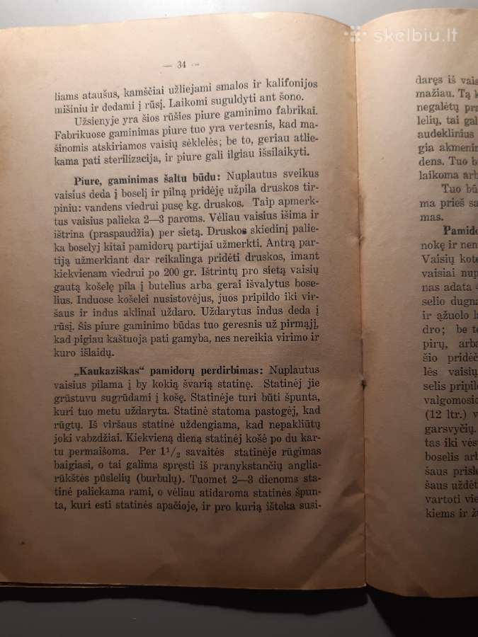 Pomidorai knygelė - nuotraukos Nr. 3