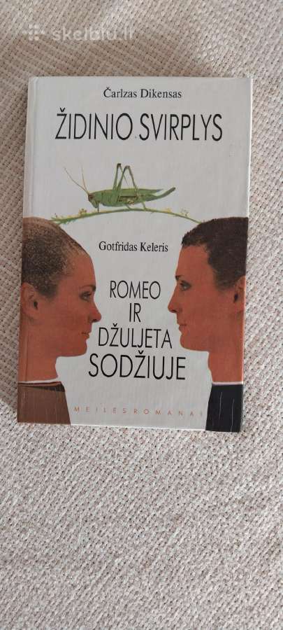 Romanai Detektyvai Fantastika Eilės - nuotraukos Nr. 20